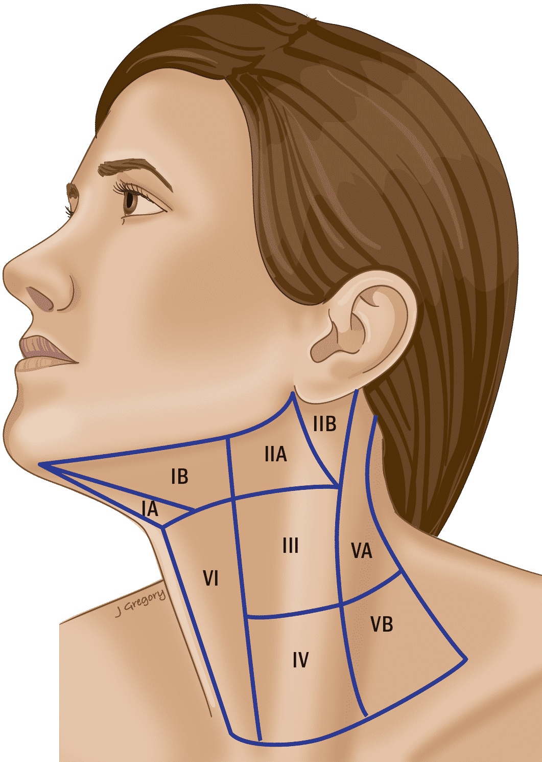 swollen lymph node neck