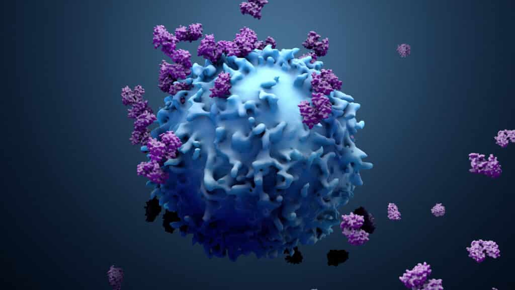 Cancer immunotherapy - Immunotherapy